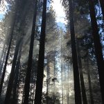 Indonesia–Austria Perkuat Kolaborasi Riset dan Pendidikan Tinggi, Fokus Energi dan Inovasi Teknologi