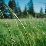 BSDK MA Gandeng KPK Gelar Pendidikan Antikorupsi