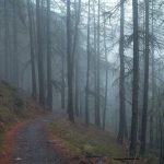 Dua Inovasi Kemendikdasmen Tembus Nominasi WSIS Prizes 2026