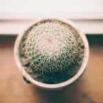 Pemerintah tegaskan pendidikan hak semua warga negara tanpa kecuali