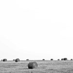 Semangat Kartini di Dunia Literasi dan Pendidikan Perempuan