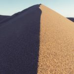 Prodi Dihapus, Kampus atau Pabrik? Kritik Nalar Pendidikan Tinggi Indonesia.