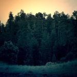 UPI Perkuat Pembelajaran BIPA Antarbudaya melalui Webinar “Pawang BIPA #2”