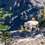 Rekruitmen Guru Harus Tertata: Kunci Meningkatkan Kualitas Pendidikan Indonesia