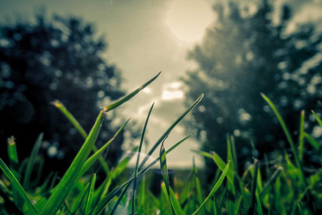 30 Kartu Ucapan Hardiknas 2026 Gratis, Bagikan Semangat Pendidikan di Indonesia – disway.id