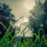 30 Kartu Ucapan Hardiknas 2026 Gratis, Bagikan Semangat Pendidikan di Indonesia – disway.id